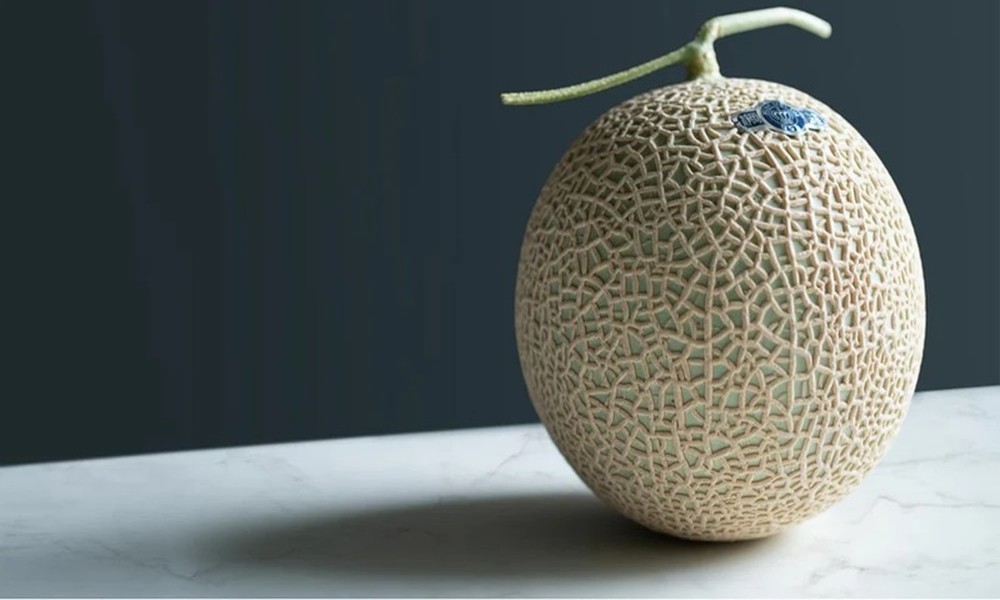 Japanese Melon and Why It Is Known as a Premium Fruit