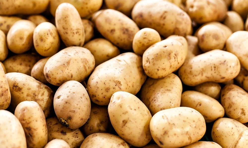 How Potato Nutrition Facts Reveal Surprising Health Benefits?